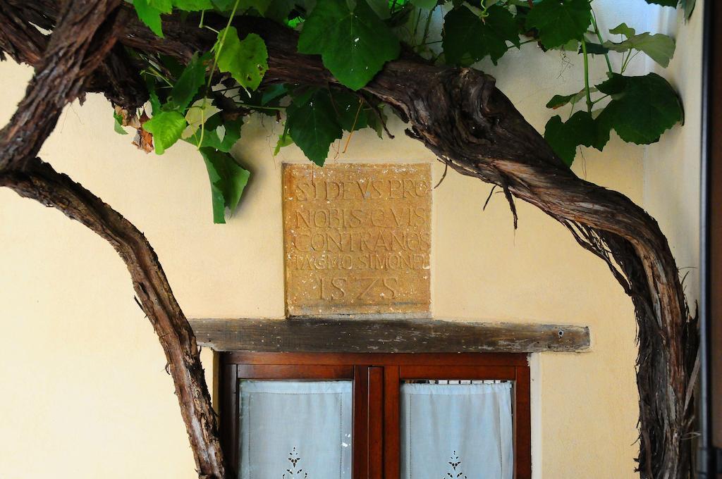B&B Camere La Vite Pienza Ngoại thất bức ảnh