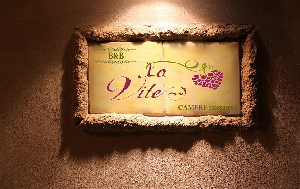 B&B Camere La Vite Pienza Ngoại thất bức ảnh