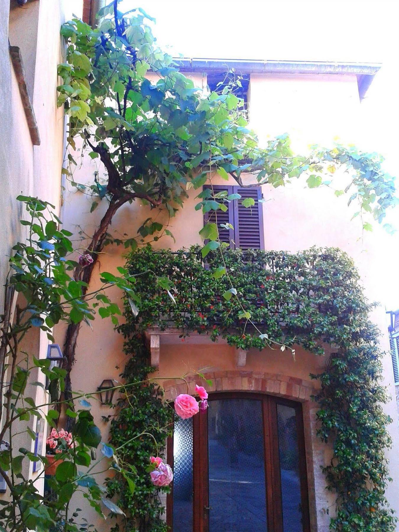 B&B Camere La Vite Pienza Ngoại thất bức ảnh